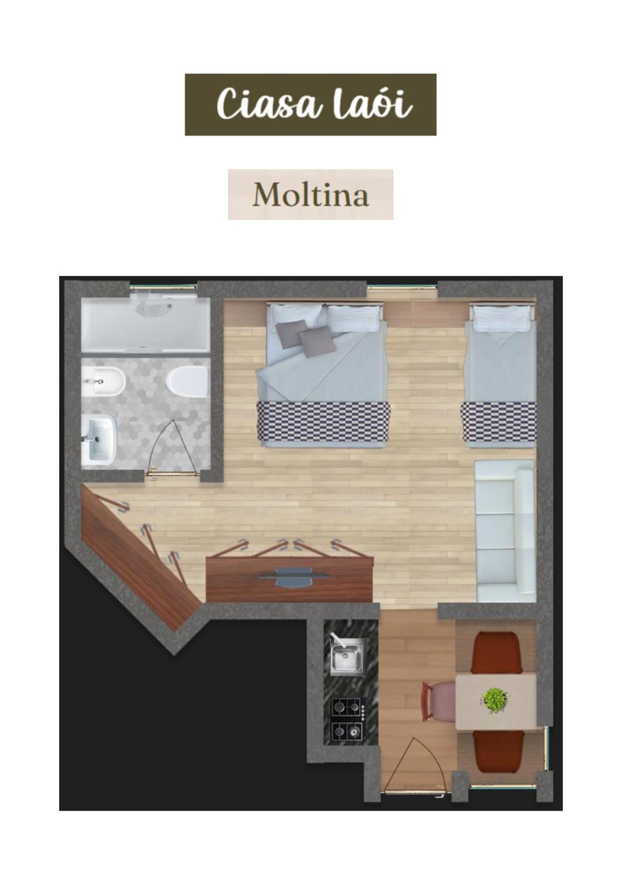 Apartment Ciasa Laoi 圣卡夏诺 外观 照片